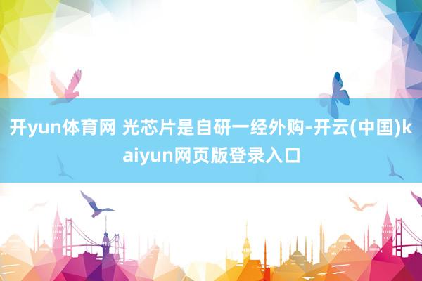 开yun体育网 光芯片是自研一经外购-开云(中国)kaiyun网页版登录入口
