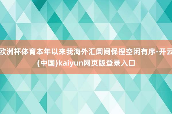 欧洲杯体育本年以来我海外汇阛阓保捏空闲有序-开云(中国)kaiyun网页版登录入口