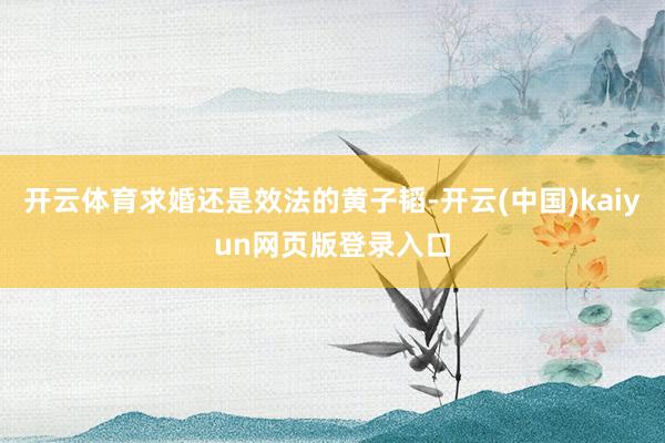 开云体育求婚还是效法的黄子韬-开云(中国)kaiyun网页版登录入口