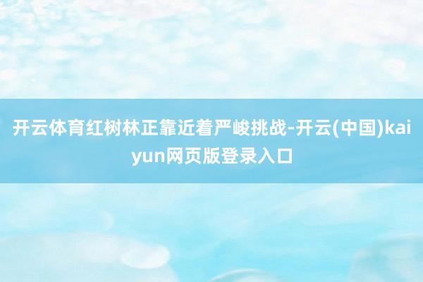 开云体育红树林正靠近着严峻挑战-开云(中国)kaiyun网页版登录入口